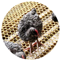 制砂篩分設(shè)備