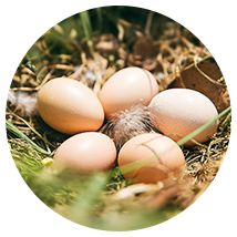 工業(yè)磨粉設(shè)備